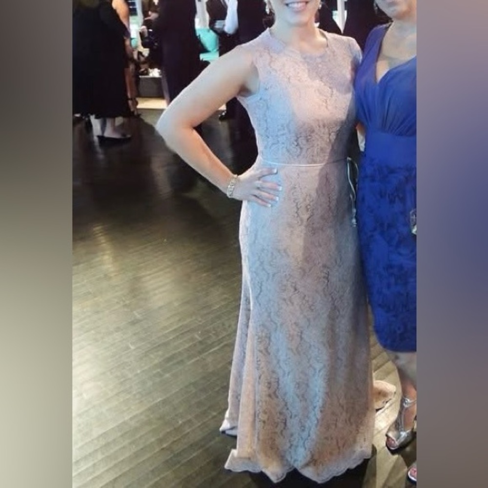 Watters and Watters Blush Lace Gown